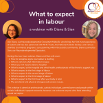 Details of our what to expect in labour webinar recording.